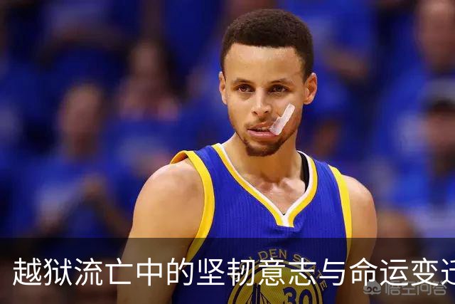 越狱流亡中的坚韧意志与命运变迁：徐洪慈的经历探索